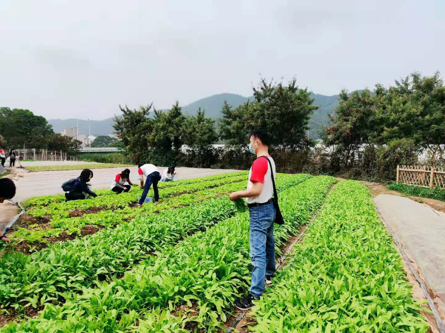 荣强春季活动